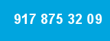 917 875 32 09 917 875 32 09
